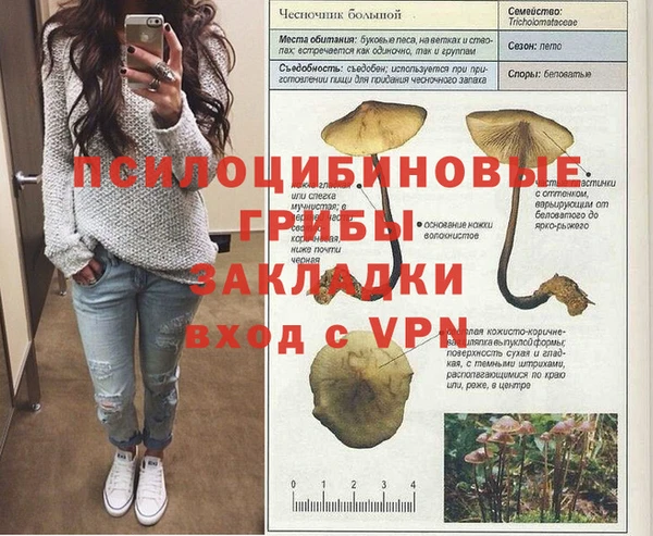 винт Володарск