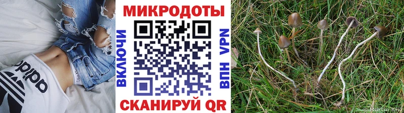 Галлюциногенные грибы прущие грибы  продажа наркотиков  Чёрмоз 
